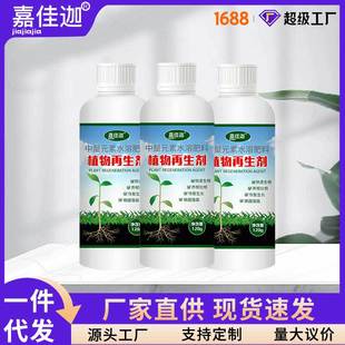 Jiajiaga Plant Regeneration Agent Concentrated Nutrient Solution Green Plant Flowers Potted Home Gardening Lifestream Universal