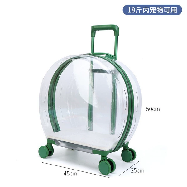 Pet trolley case-glossy, transparent green