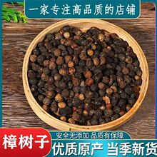 ������ ��ș�����l ������ ����� Ʒ�N�Rȫ �o�s�oѬ �н�ӆ��