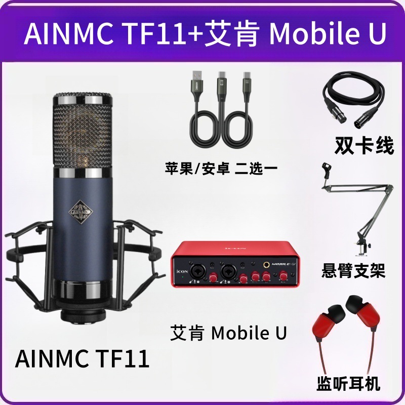 Ainmc Tf11 Large Diaphragm Condenser Full-Range Microphone for Computer Streamers, Live Broadcasts, Rapping, Singing, and Recording Vocal Tracks