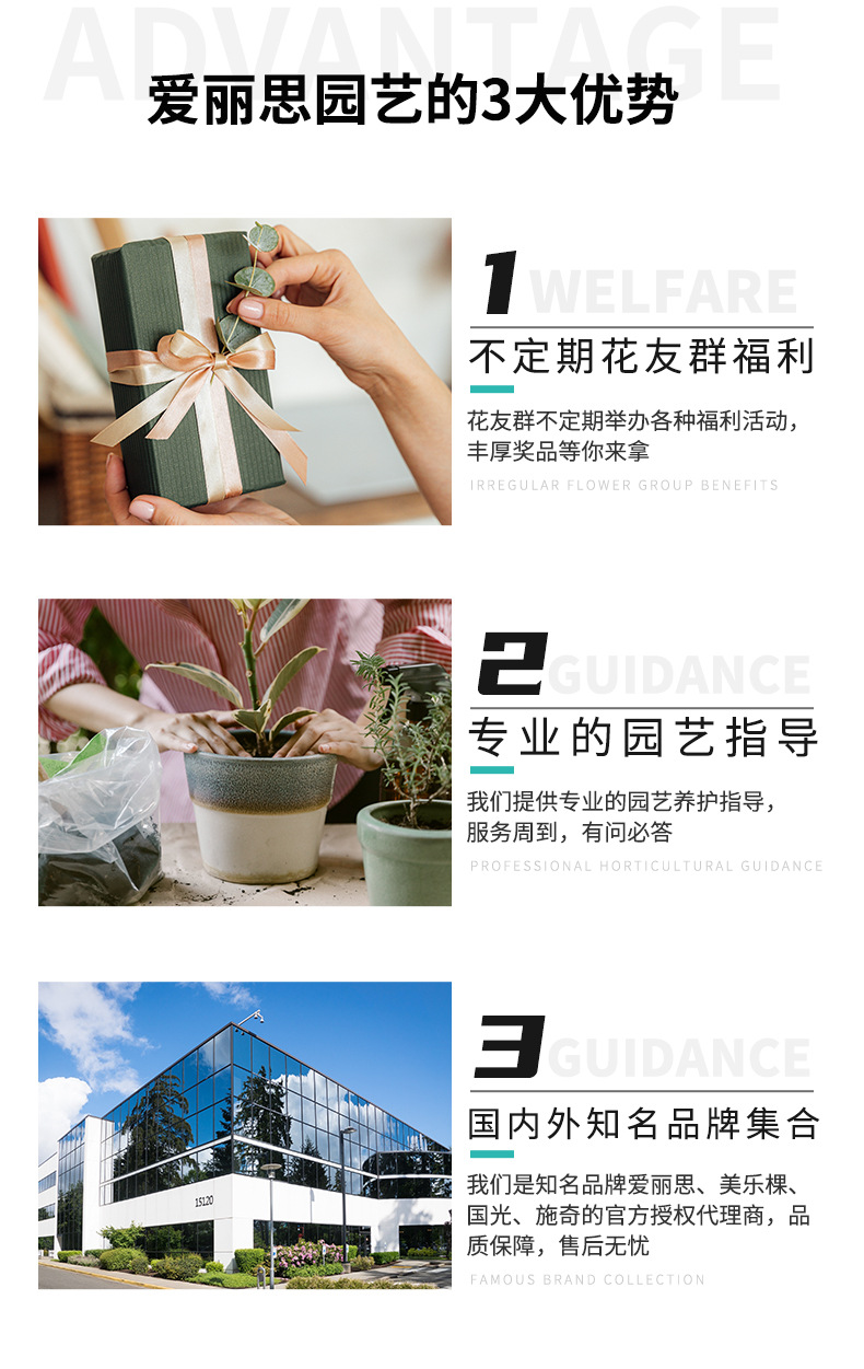 育苗盘_10.jpg
