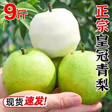 2026��Fժ������Ƥ�ʹ��污Ƥ�����֭�������rˮ���ӱ��ʹ���