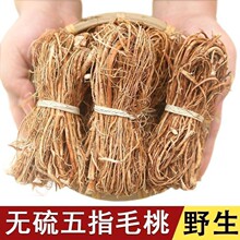 ���r��ָë������������ë�Ҹ�С����Ұ���B����ș���Ҝ����ϰ�