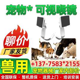 宠物动物用喉镜犬猫狗兽用不锈钢插管右开口LED灯咽喉镜