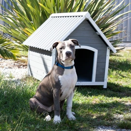 木板材;狗狗窝/笼/垫;兔子窝、笼