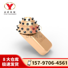 �V�|���ڏB�T�}������湩�� ����� ��݆����Ƭ 55�w�Ͻ��X