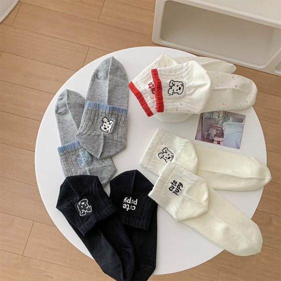 Korean Style Ins Style Cartoon Embroidered Puppy Letter AB Foot Fashion Combed Cotton Women's Socks Low-side Cotton Socks