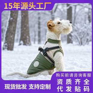 �羳���N���S���l�ﶬ�������R���ر�һ�w�ɠ������·������·�