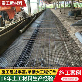 双向单向塑料钢塑土工格栅养殖公路铁路路基加筋稳固用土工格栅