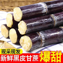 正宗广西【黑皮甘蔗】新鲜 水果应当季特产脆甜果蔗清甜杆