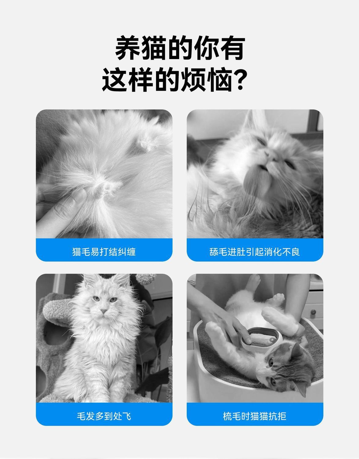 O1CN01I6QDEW2APMuI7i3P0_!!2743028195-0-cib.jpg