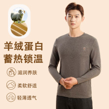 新款男士秋衣秋裤中领保暖内衣男士加绒加厚保暖单衣羊绒蛋白上衣