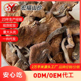 东北榛蘑野生干货小鸡炖蘑菇大兴安岭野生菌菇批发干货 榛蘑