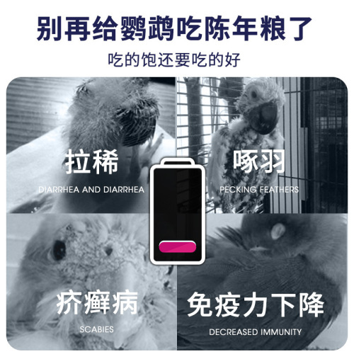 Parrot mixed feed five-color millet shelled muton bird tiger skin peony bird food mixed grain millet 500g