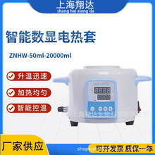 上海厂家智能恒温数显电热套实验室控温磁搅拌调温加热套高温380