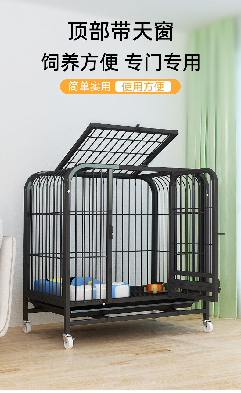 6671d153-d786-47e7-a59f-e6e316d1ae08.jpe