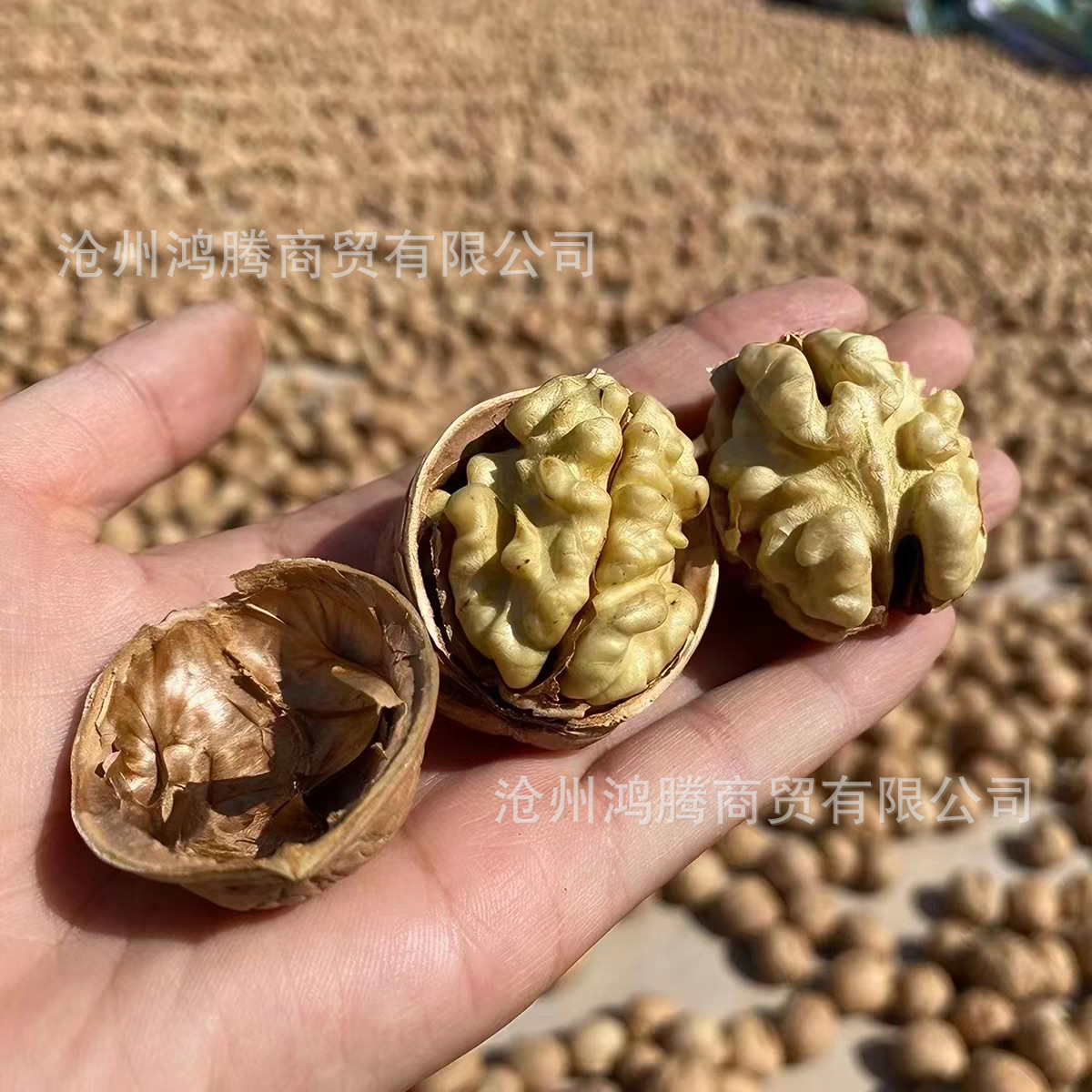 2026新货新疆185纸皮核桃手捏薄皮原味带壳坚果零食原味手剥散装