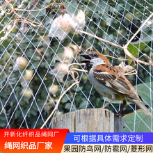 防雹网现货聚酯纤维菱形网PE防雹网白色防雹网子防雹网