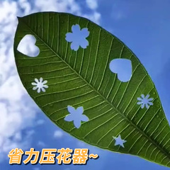 省力大号压花器星星打孔器手工五角星印花可得优按压花器幼儿园儿
