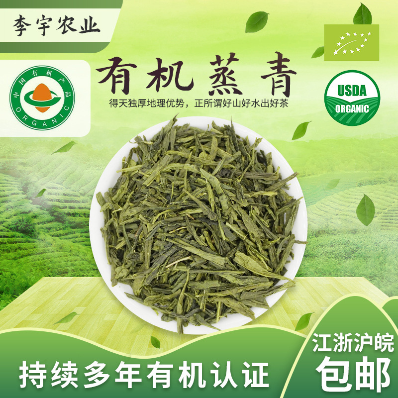 Organic Steamed Green Tea 500g Bulk Export to Europe and America Green Tea Wholesale Tea Bag Ingredients Eu, Nop Organic Certification