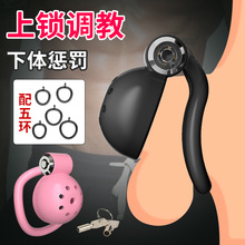鸟笼贞操锁伪娘上锁惩罚下体调教男性戒撸神器隐形穿戴CB锁性用品