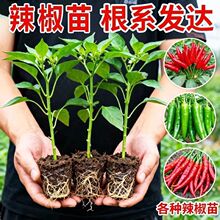 �߮a�������̨�����ļ����콷���G�l��Ƥ��ţ�ǽ���·��������