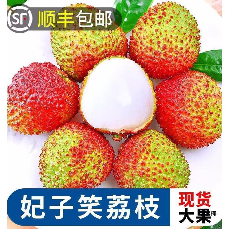 [24-hour SF Express] Hainan Feizixiao litchi 5 jin free shipping frozen fresh pregnant woman fruit now shipped whole box 9
