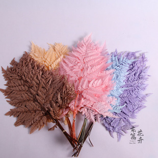 ������ɽ���X���l�~����ƿ�����r��ާ�â�~���~�˱�����������