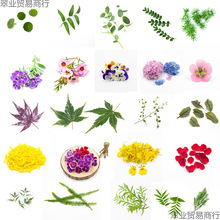 �����b������������rֲ��͏d���r�[�P��P��˾����