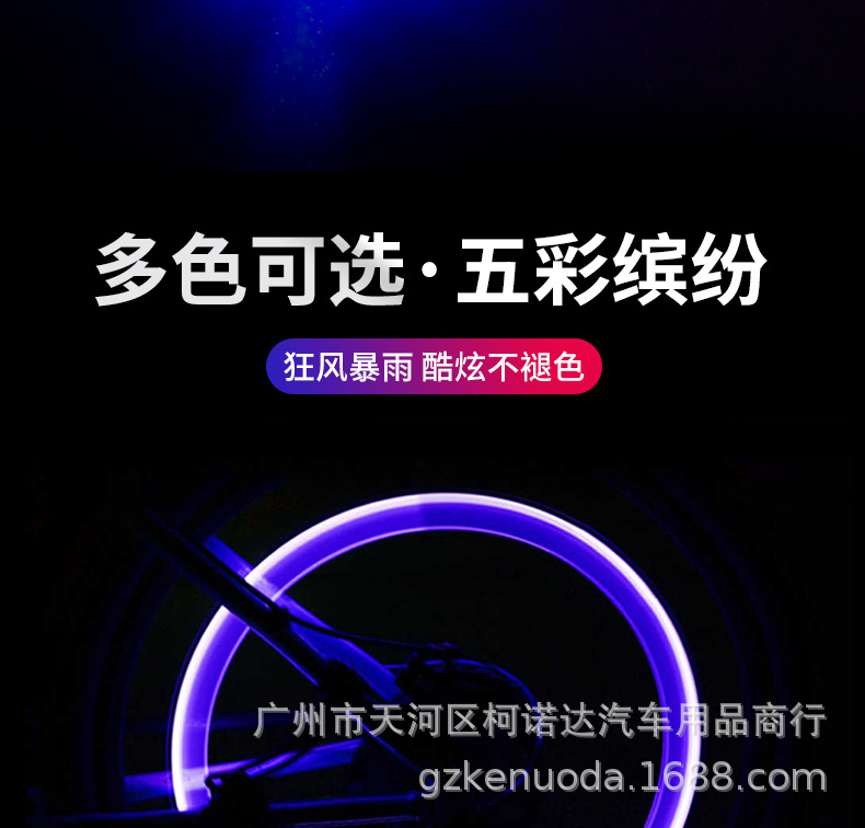 790_10.jpg