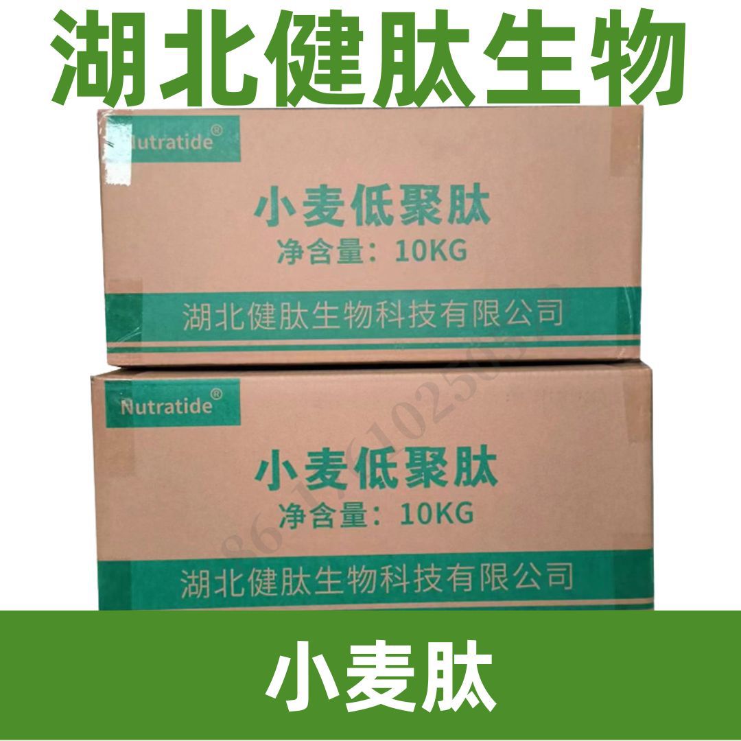 湖北健肽 小麦肽 1kg Wheat Peptides