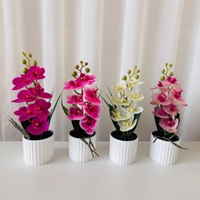 �����߻������m�����҃ȔzӰ�b��߻�Y�b�С���Է�������m��