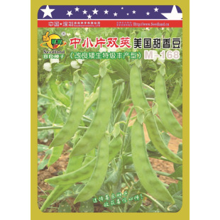 ϲ���N�繫˾ֱ������Nֲ�߲˷N��  ���@���㶹M-168��СƬ�p�v