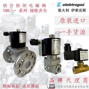 �����elektrogas���R��˹ԭ�b�M�ڿ��_���]늴��yVMRϵ��