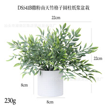 �F؛�������� ������������Ӽ��{�����辰�羳�¿��������ֲ��