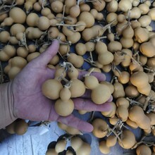 Ұ����Ȼ��������С���J�Π�����F��������[��������J�]��覴�