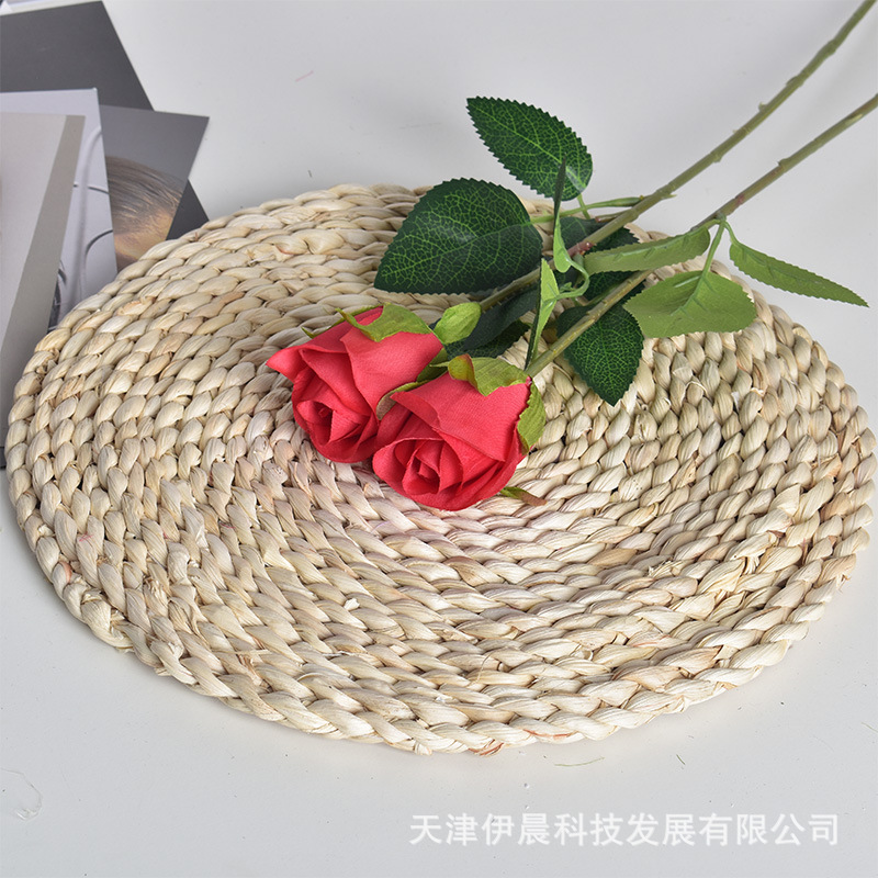 실크 로즈 레드