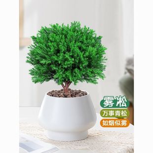 �Fڡ�辰�҃ȾGֲ���������ļ��L����Bֲ��͏d�k���҃����՚⻨