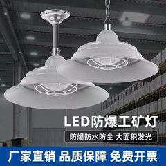 LED防爆灯、産業用・鉱業用防水・防食・防塵ランプ、工場・倉庫用吊り下げランプ、給油所用防爆ランプ、強力ライト