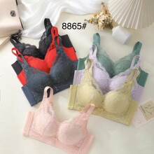 8865�޴��޸�Ȧ�¸����ص����;�£�����Ը���˿�ո���������Ů
