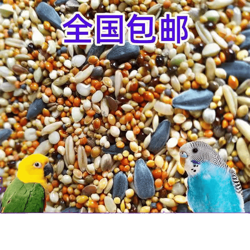 混合鳥の餌 鳥の餌 オウムの餌 タイガーピーチ 黒鳳凰 牡丹 五色雑穀 食品雑穀 250g シェル付き|undefined