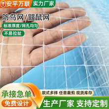 ����������B�W������Ҙ�r�B�W��������~���߲˷��o�W�W��