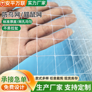 ����������B�W������Ҙ�r�B�W��������~���߲˷��o�W�W��