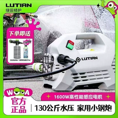 Portable car washer — High-Power Brushless 220V High-Pressure Car