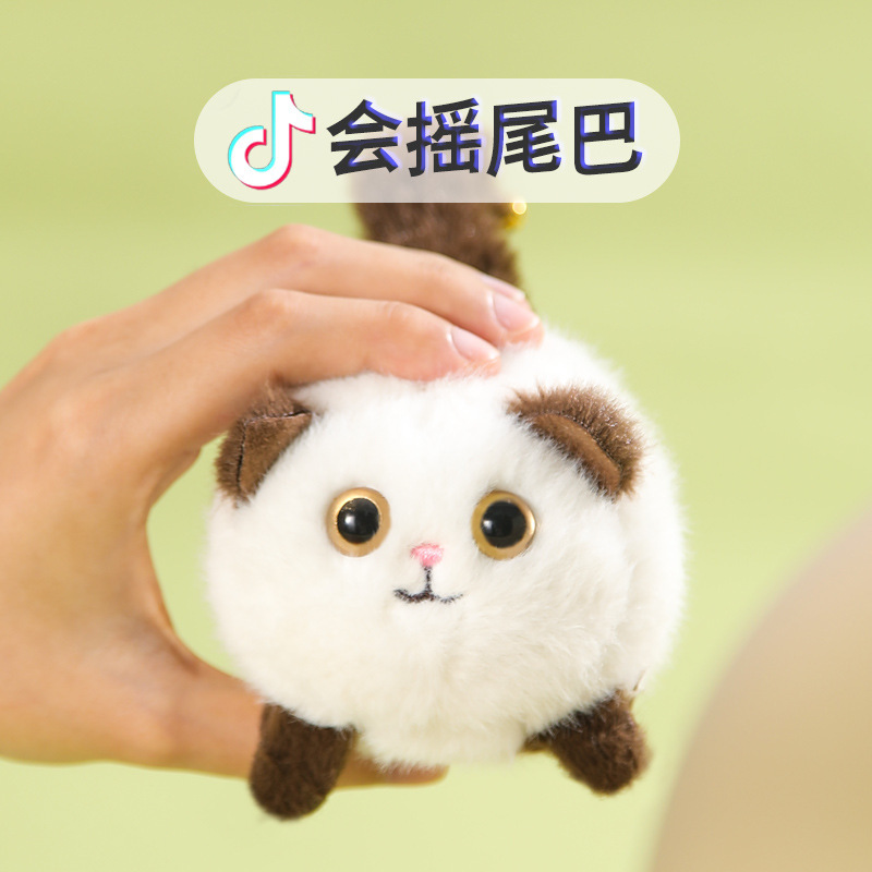 Toy