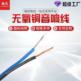 加工定制2.5平方电线汽车喇叭无氧铜音响线音频线音箱线金银线