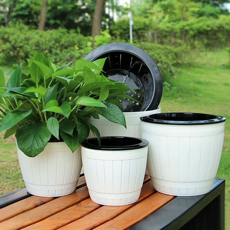 自动吸水花盆新款仿木纹大口径绿萝盆室内加厚耐用圆形