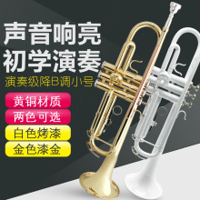 降B调三音小号铜管乐器喇叭学生初学乐队专业演奏考级带便携箱包