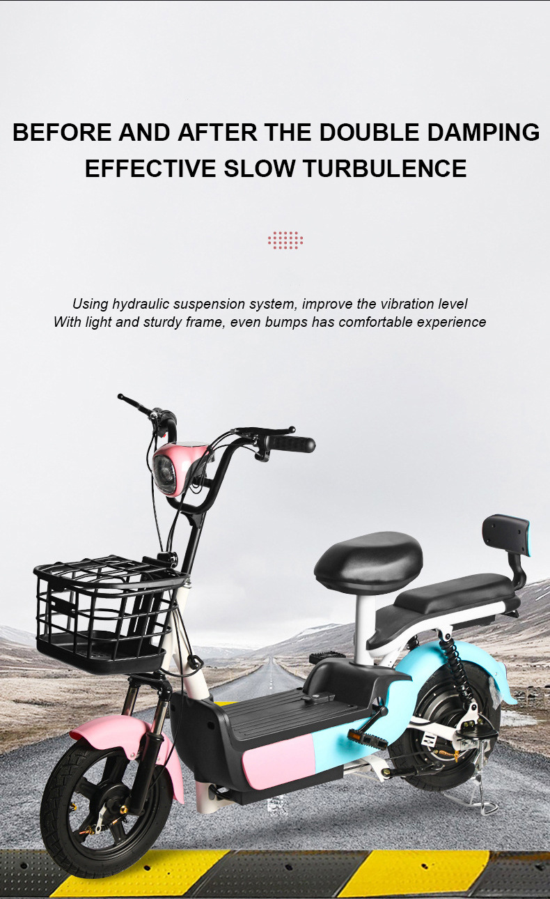 Custom Electric Bicycle, New National Standard, 48V 60V