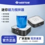 电子电动数显台式搅拌器